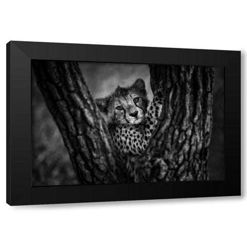 Centered Black Modern Wood Framed Art Print by Alnaser, Mohammed