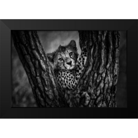 Centered Black Modern Wood Framed Art Print by Alnaser, Mohammed