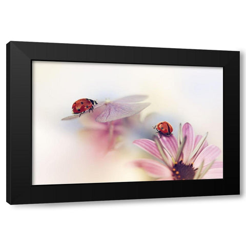 Last Days Of Summer Black Modern Wood Framed Art Print with Double Matting by Van Deelen, Ellen