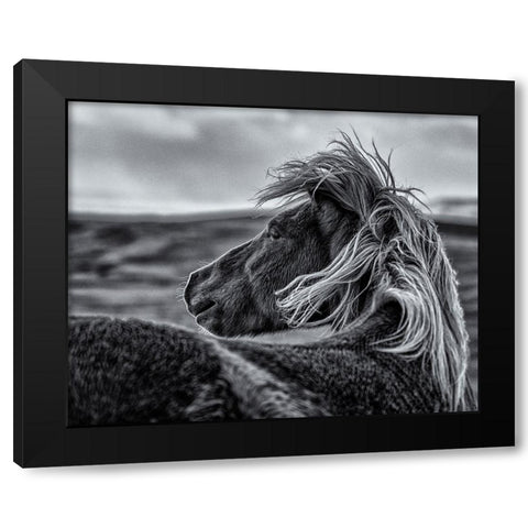 Glance Back Black Modern Wood Framed Art Print by Ding, Sunny