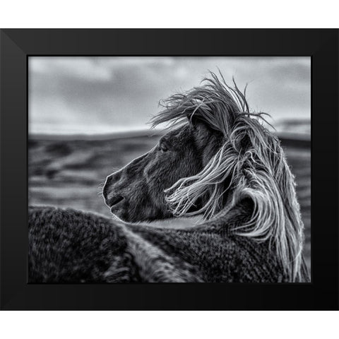 Glance Back Black Modern Wood Framed Art Print by Ding, Sunny