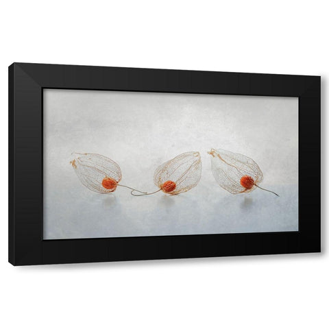Chinese Lantern Black Modern Wood Framed Art Print with Double Matting by Veenstra, Ytje