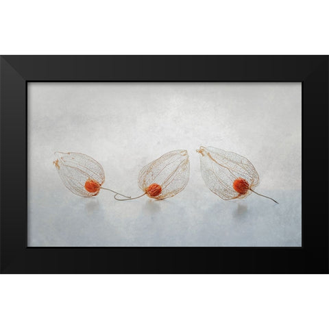 Chinese Lantern Black Modern Wood Framed Art Print by Veenstra, Ytje