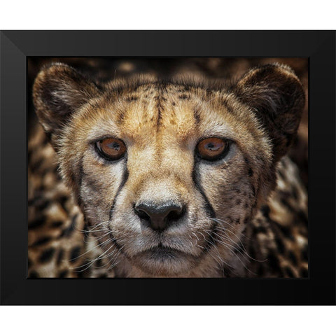 You Know What-I See Your Car Black Modern Wood Framed Art Print by Guillemot, Mathilde