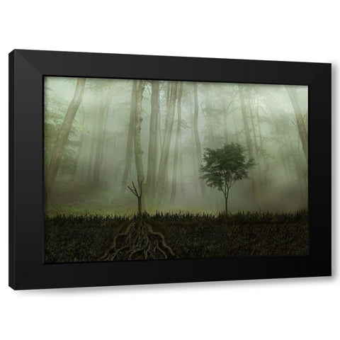 Root 2 Black Modern Wood Framed Art Print by Golchin, Aryana