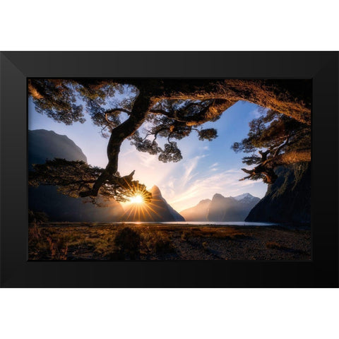 Sunny Day In Milford Sound Black Modern Wood Framed Art Print by Zhu, Jingshu