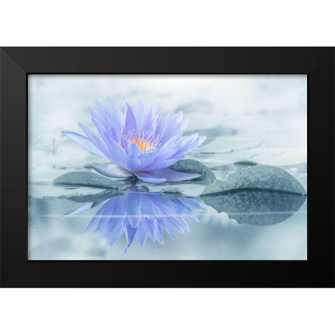 Reflection Black Modern Wood Framed Art Print by Suzuki, Takashi