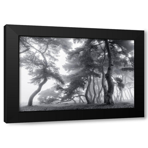 Endure For A Hundred Years Black Modern Wood Framed Art Print with Double Matting by Seo, Tiger