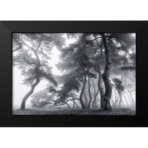 Endure For A Hundred Years Black Modern Wood Framed Art Print by Seo, Tiger