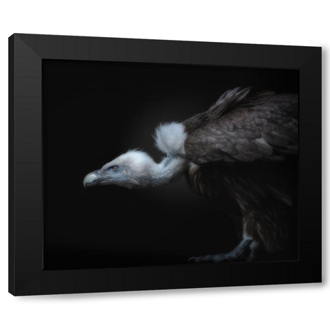 Targeted Black Modern Wood Framed Art Print by Kamera