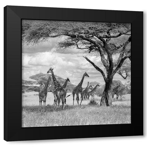 The Tower! Black Modern Wood Framed Art Print by Khataw, Ali