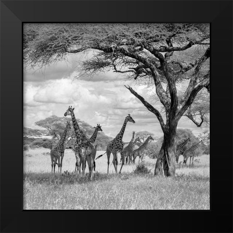 The Tower! Black Modern Wood Framed Art Print by Khataw, Ali