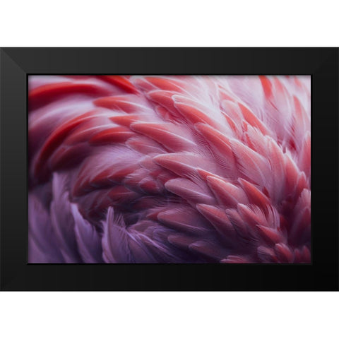 Flamingo Black Modern Wood Framed Art Print by Beata, Angyalosi