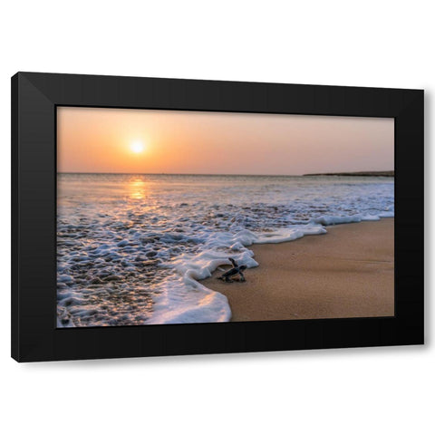 Green Turtle Black Modern Wood Framed Art Print by Al Farsi, Haitham