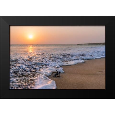 Green Turtle Black Modern Wood Framed Art Print by Al Farsi, Haitham