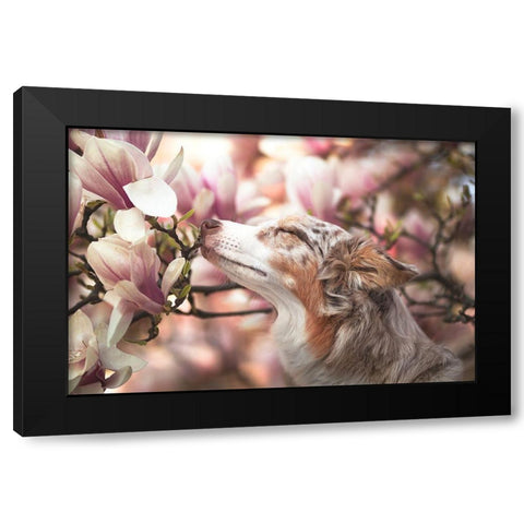 Dawn Of Blossom Black Modern Wood Framed Art Print with Double Matting by Shandor, Ve