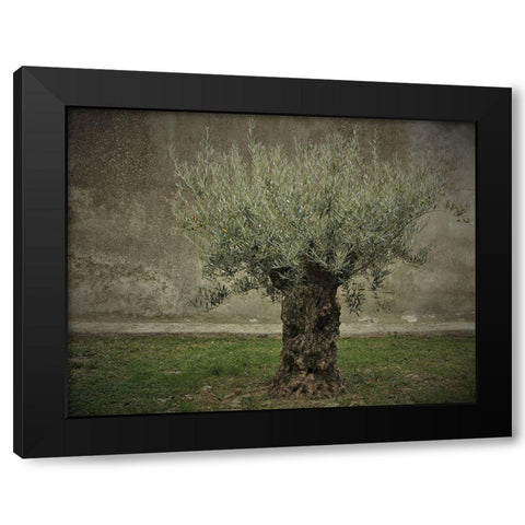 Olive Black Modern Wood Framed Art Print with Double Matting by Irmawarth