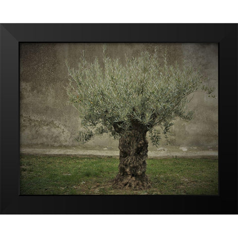 Olive Black Modern Wood Framed Art Print by Irmawarth