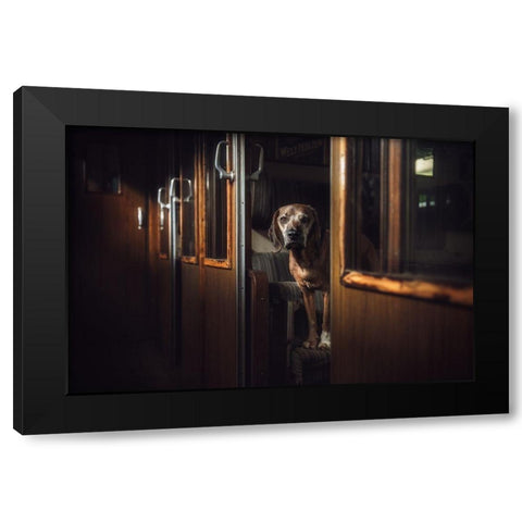 First Class Black Modern Wood Framed Art Print with Double Matting by Willers, Heike