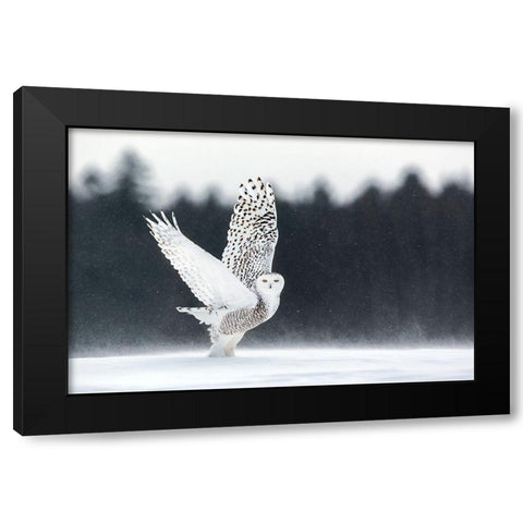 Take Off Black Modern Wood Framed Art Print with Double Matting by Catta, Alessandro