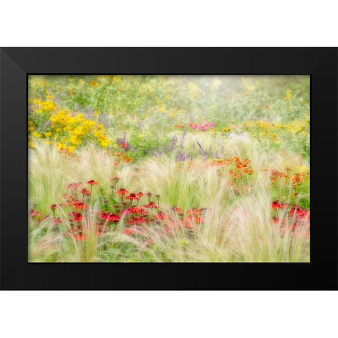 Summer Reverie Black Modern Wood Framed Art Print by Parker, Jacky
