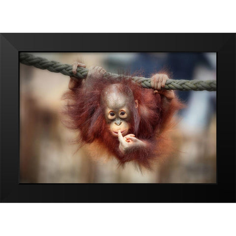 The Big Query Black Modern Wood Framed Art Print by Wenner-Braun, Antje