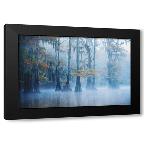 Foggy Swamp Morning Black Modern Wood Framed Art Print by H., Aijing