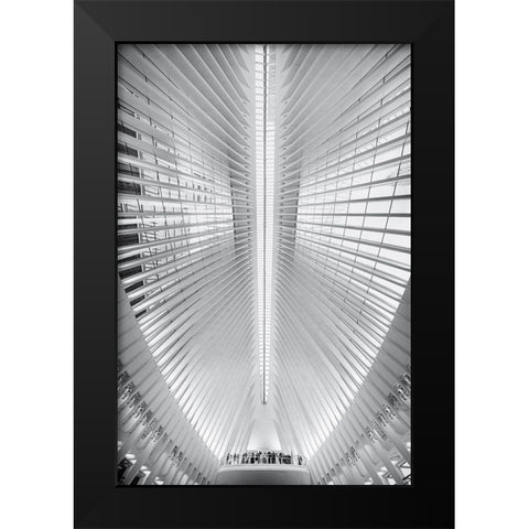 Oculus Black Modern Wood Framed Art Print by Tagliarino, Marco