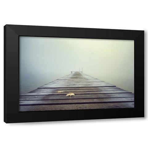 Cold And Misty Morning Black Modern Wood Framed Art Print with Double Matting by Eisenmann, Ulrike