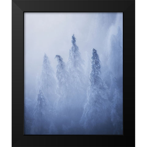 Ghosts Black Modern Wood Framed Art Print by Krivec, Ales
