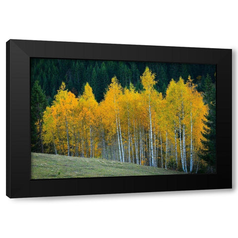 Autumn Black Modern Wood Framed Art Print with Double Matting by Hamiti, Bess