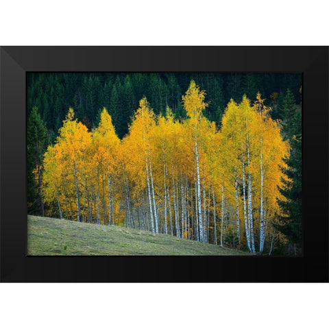 Autumn Black Modern Wood Framed Art Print by Hamiti, Bess