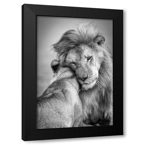 African Love! Black Modern Wood Framed Art Print with Double Matting by Khataw, Ali