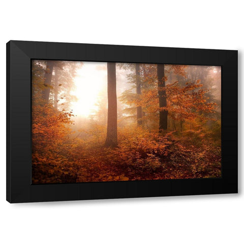 Autumn Black Modern Wood Framed Art Print by Irmawarth