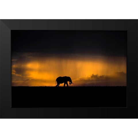 Elephant In A Rain Storm At Sunset Black Modern Wood Framed Art Print by Ortega, Xavier