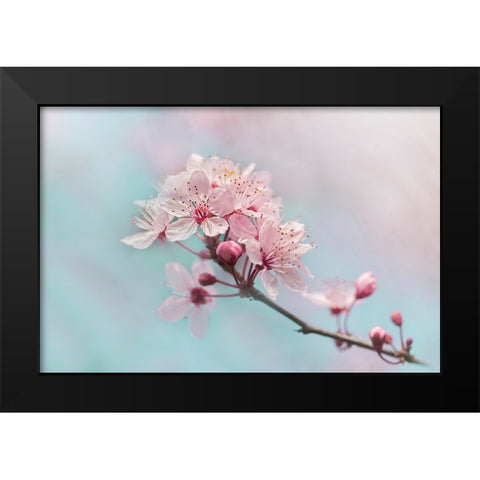 Fresh Black Modern Wood Framed Art Print by Parker, Jacky