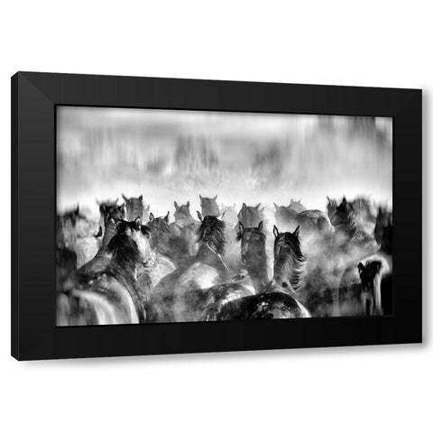 Horses Black Modern Wood Framed Art Print with Double Matting by Mete, Gilcan