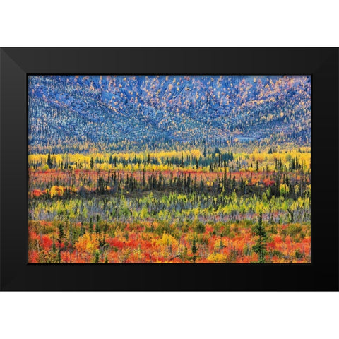 Fall Color In The Mountain Black Modern Wood Framed Art Print by Zuo, Jun