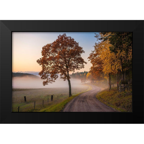 Countryside Vibes Black Modern Wood Framed Art Print by Lindsten, Christian