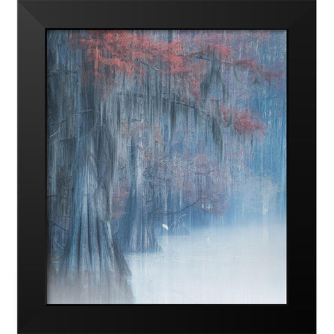 Early Bird Black Modern Wood Framed Art Print by Li, Alex