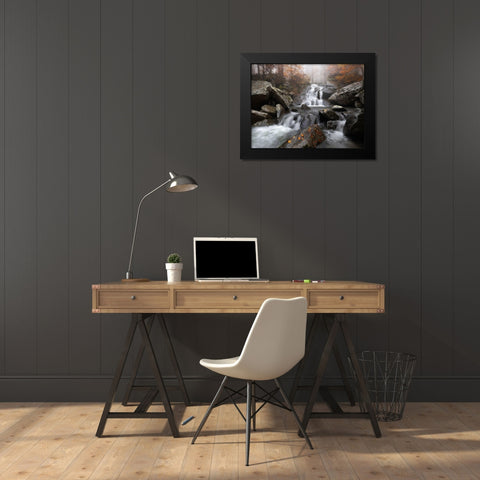 Autumn Fog Black Modern Wood Framed Art Print by Tavani, Francesco