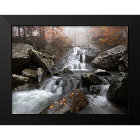 Autumn Fog Black Modern Wood Framed Art Print by Tavani, Francesco
