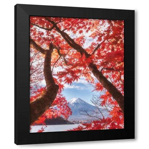 Mt.Fuji Is In The Autumn Leaves Black Modern Wood Framed Art Print by Samejima, Makiko