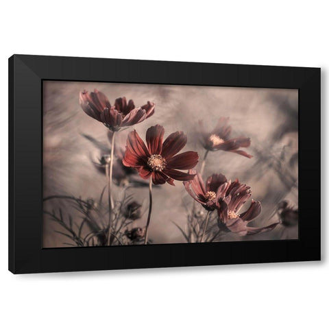 Cosmos 2019 Black Modern Wood Framed Art Print by Bravin, Fabien