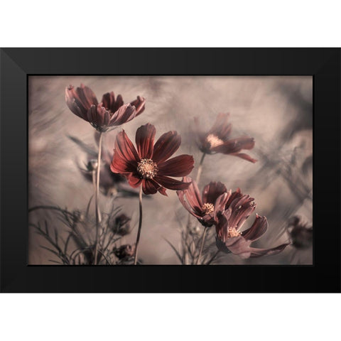 Cosmos 2019 Black Modern Wood Framed Art Print by Bravin, Fabien