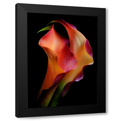 Tenderness Black Modern Wood Framed Art Print by Kinney, Jon