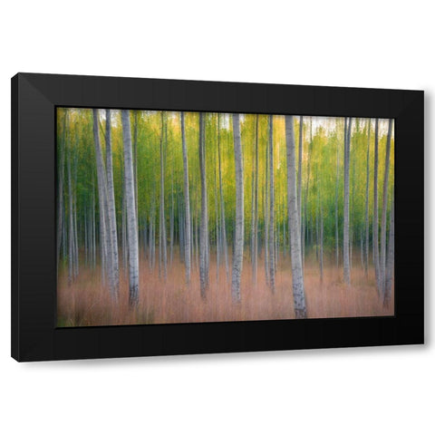 Intentional Camera Movement Black Modern Wood Framed Art Print by Lindsten, Christian