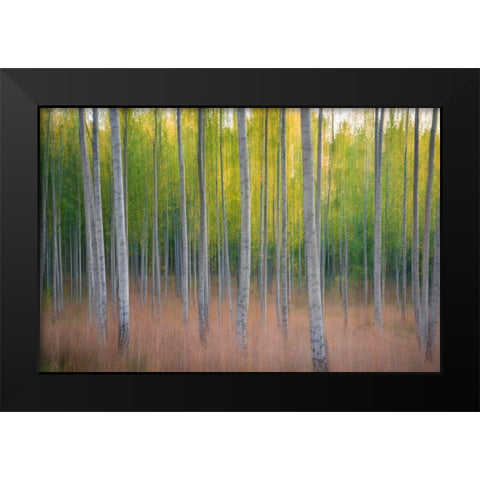Intentional Camera Movement Black Modern Wood Framed Art Print by Lindsten, Christian