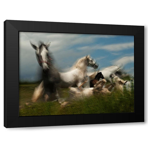 Play ground Black Modern Wood Framed Art Print with Double Matting by Malovrh, Milan