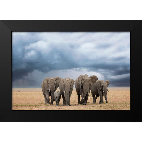 Elephant Walk Black Modern Wood Framed Art Print by Doyle, Renee